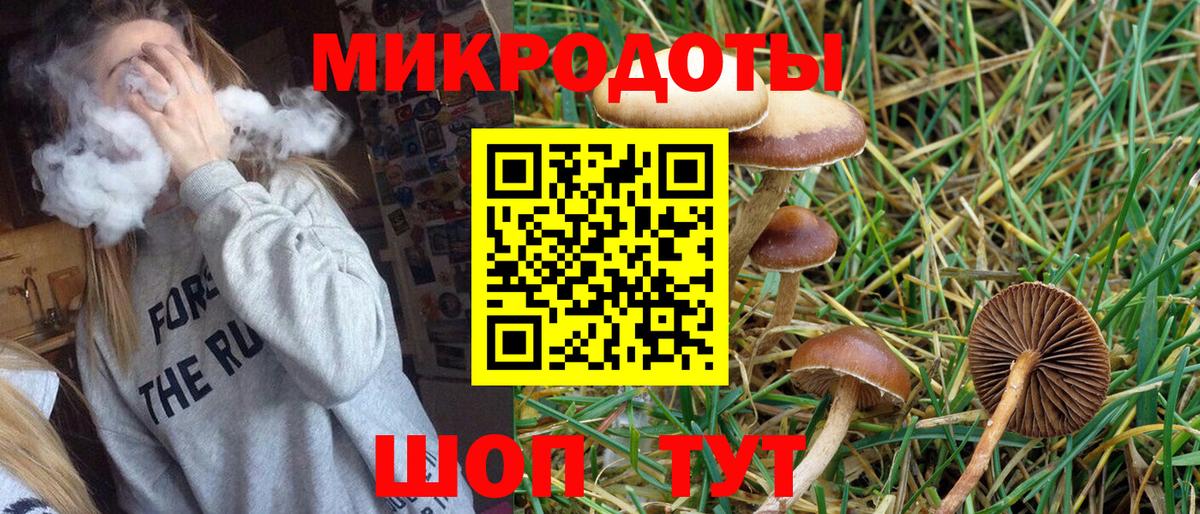 Екатеринбург  Псилоцибиновые грибы мицелий  Вход с VPN 