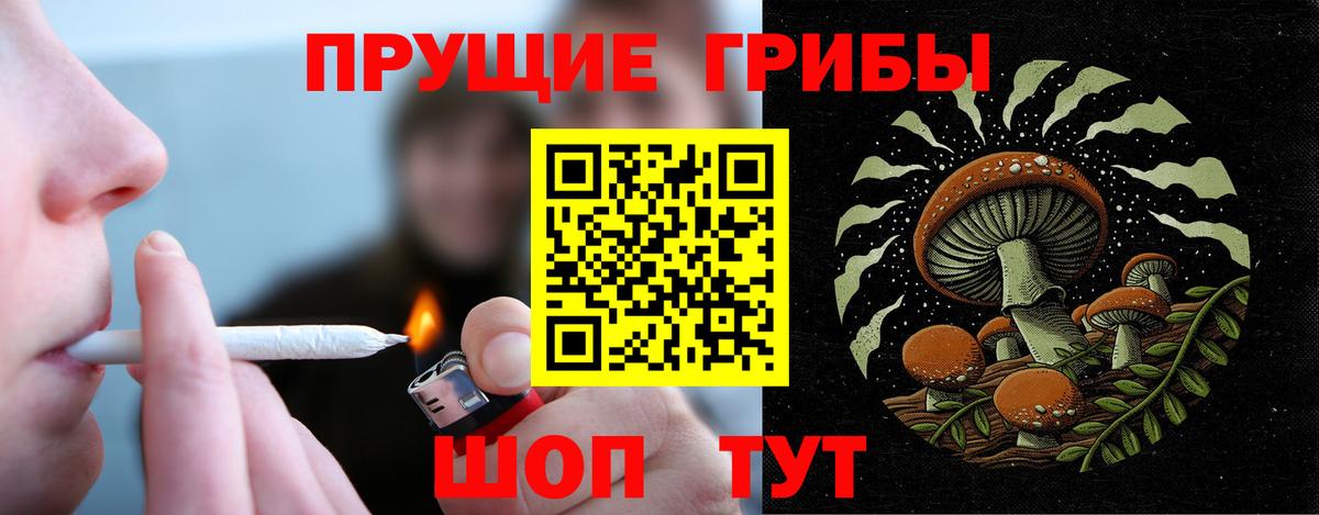 Галлюциногенные грибы Cubensis Екатеринбург